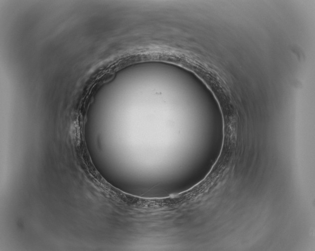 X0000112541493200908171431