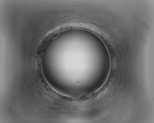 X0000112541494200908171431