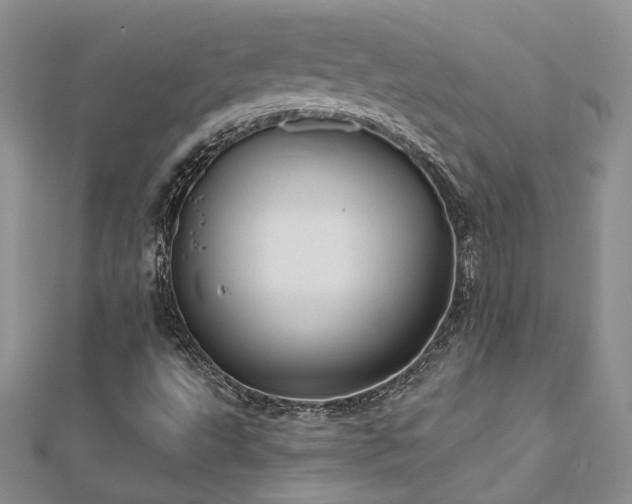 X0000112541495200908171431