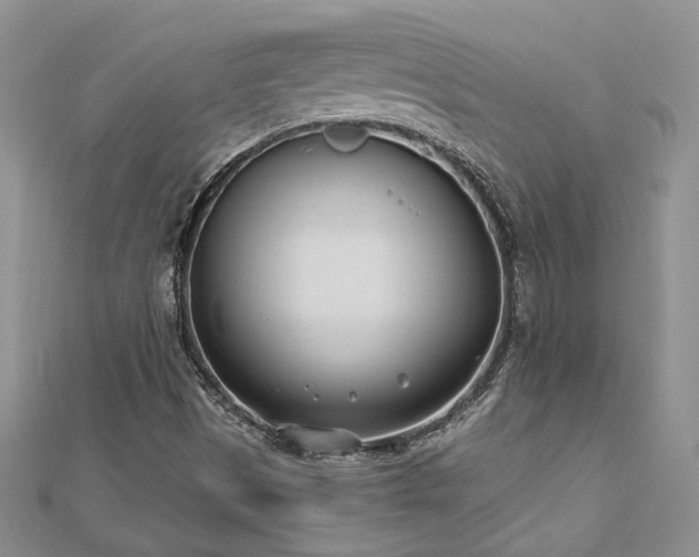 X0000112541497200908171431