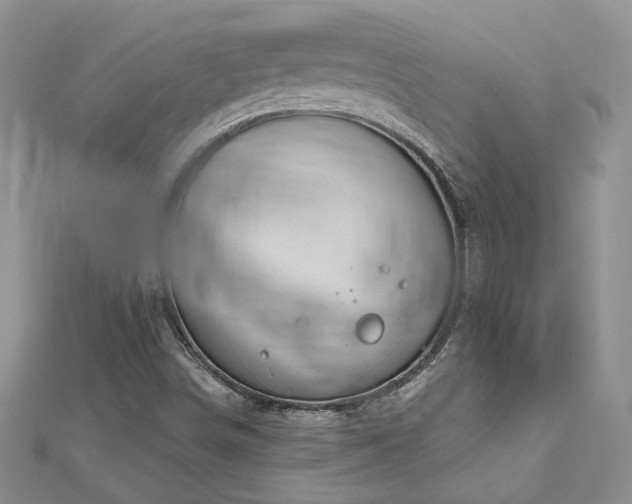X0000112541498200908171431