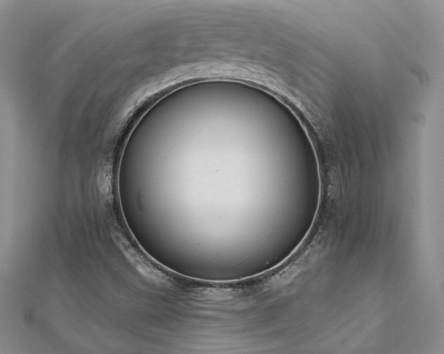 X0000112541499200908171431