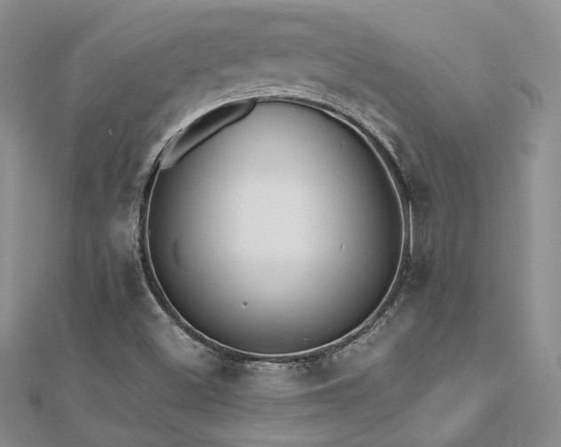 X0000112541500200908171431