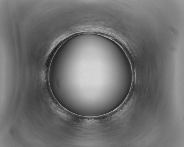 X0000112541501200908171431