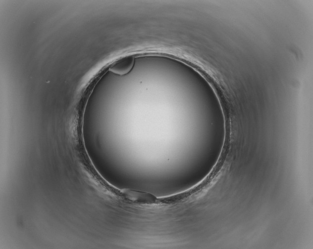 X0000112541502200908171431