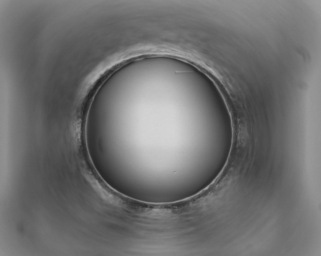 X0000112541503200908171431