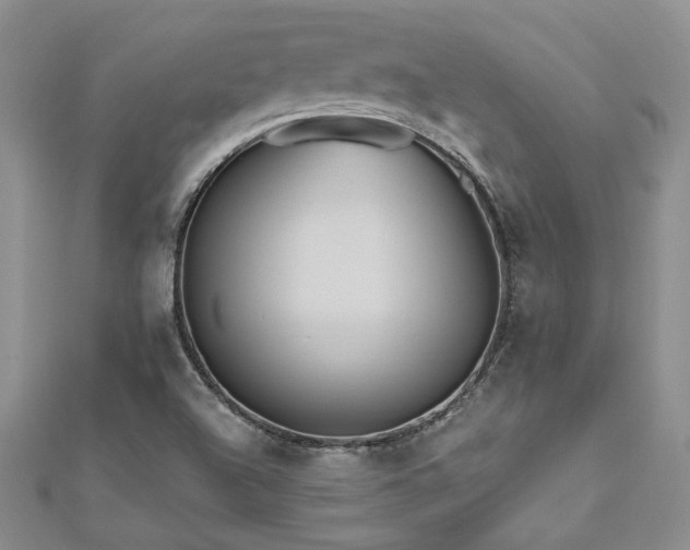 X0000112541504200908171431