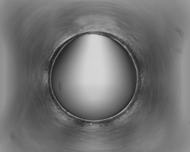 X0000112541505200908171431