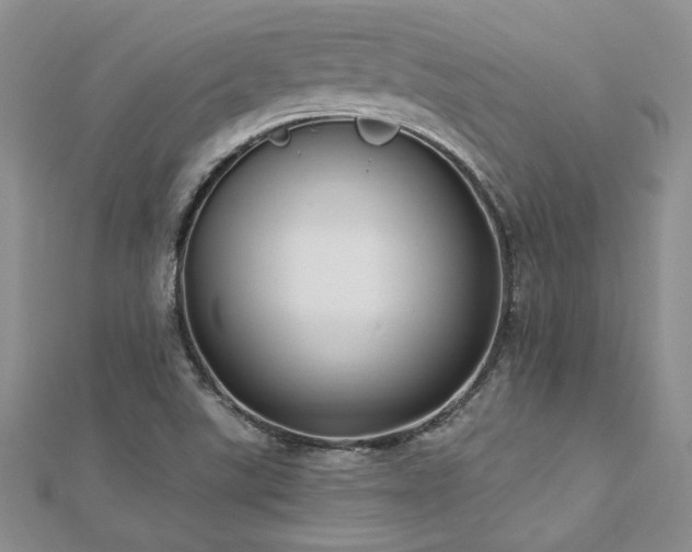 X0000112541507200908171431