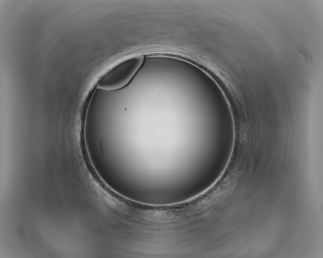 X0000112541508200908171431
