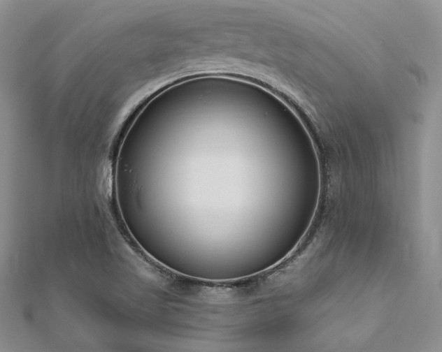 X0000112541509200908171431