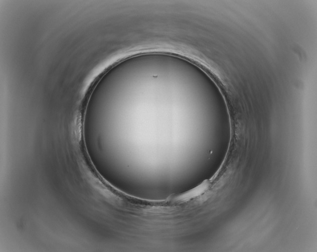 X0000112541510200908171431