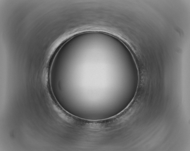 X0000112541511200908171431