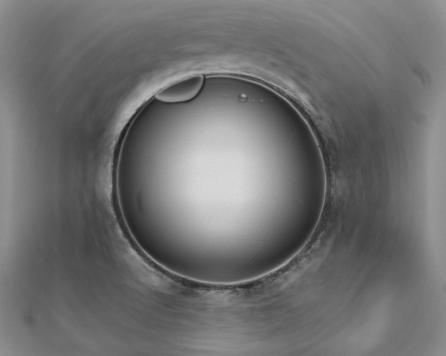 X0000112541512200908171431