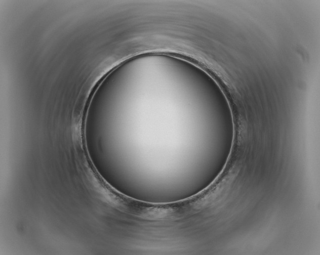 X0000112541513200908171431
