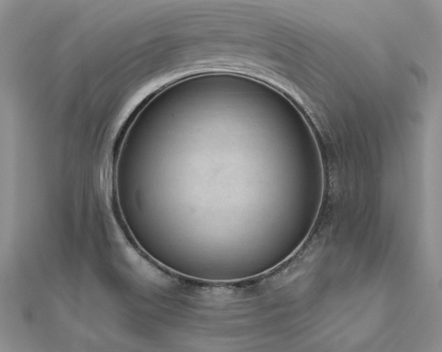 X0000112541515200908171431