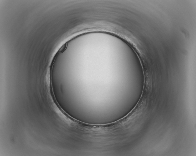 X0000112541516200908171431