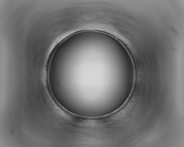 X0000112541517200908171431