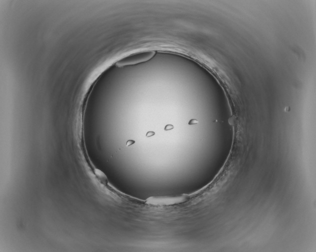 X0000112541520200908171431