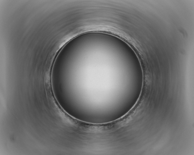 X0000112541521200908171431