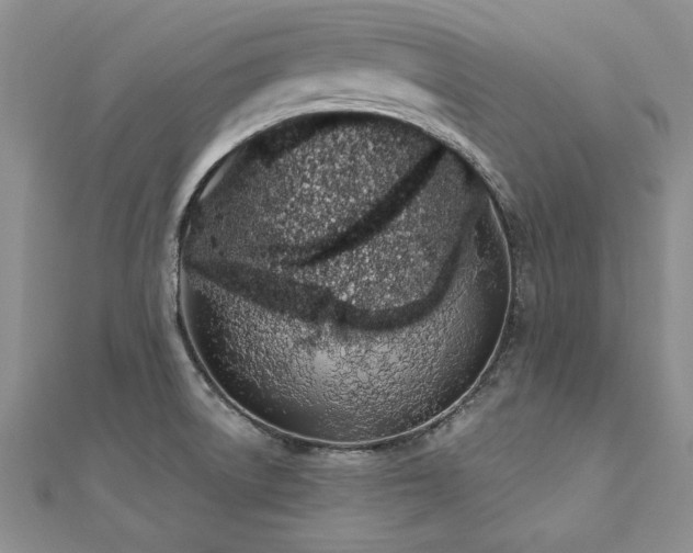 X0000112541522200908171431