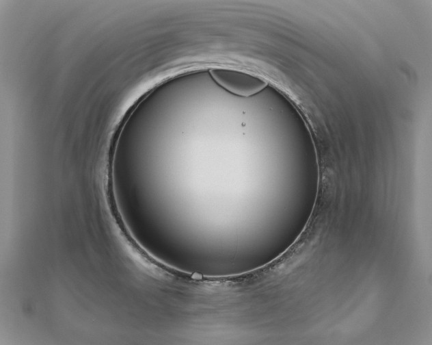 X0000112541523200908171431