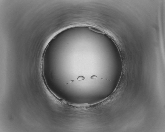 X0000112541524200908171431