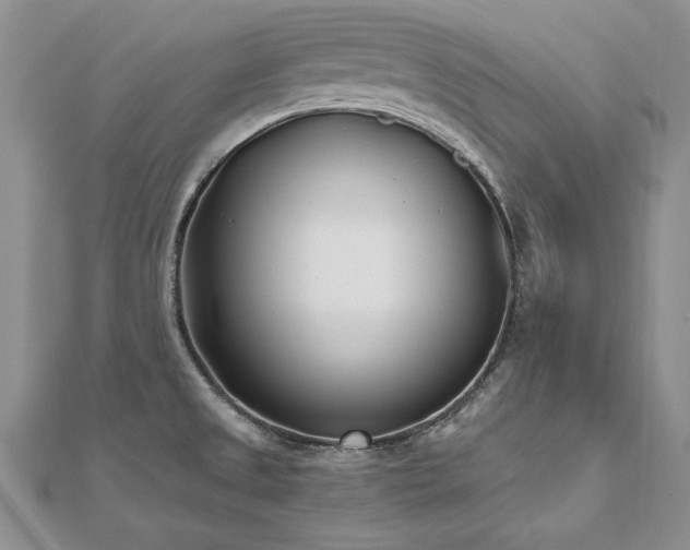 X0000112541525200908171431