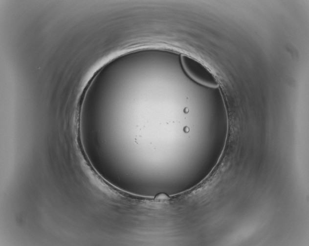 X0000112541526200908171431