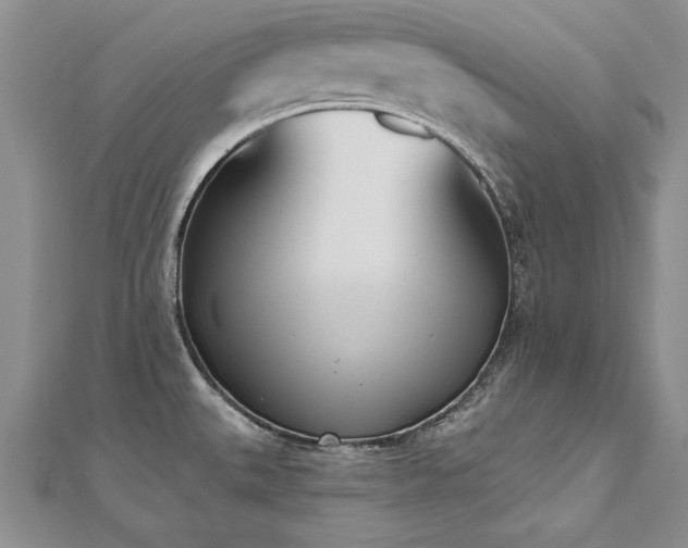 X0000112541527200908171431