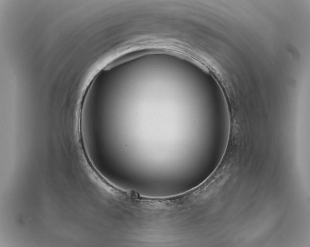 X0000112541528200908171432