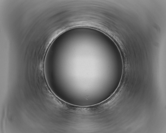 X0000112541529200908171432