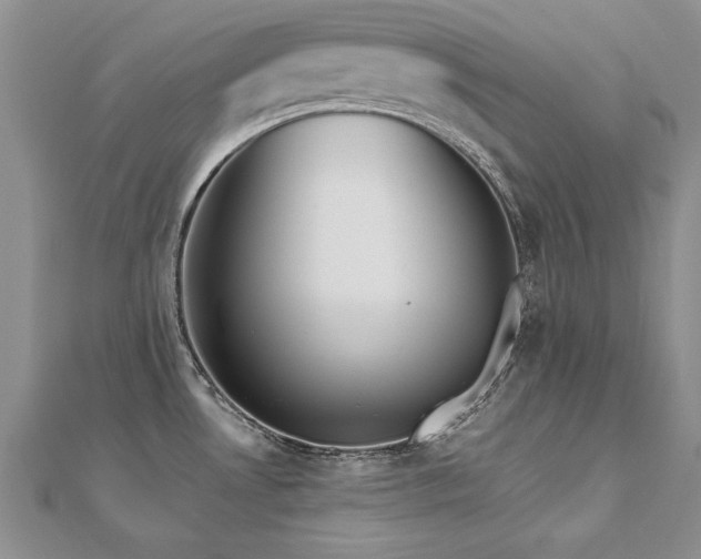X0000112541530200908171432