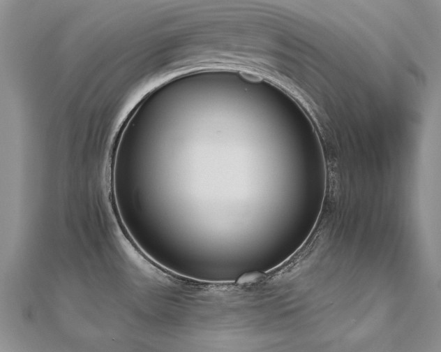 X0000112541531200908171432