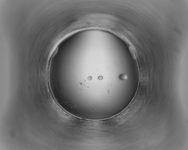 X0000112541532200908171432