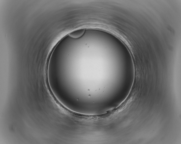 X0000112541533200908171432
