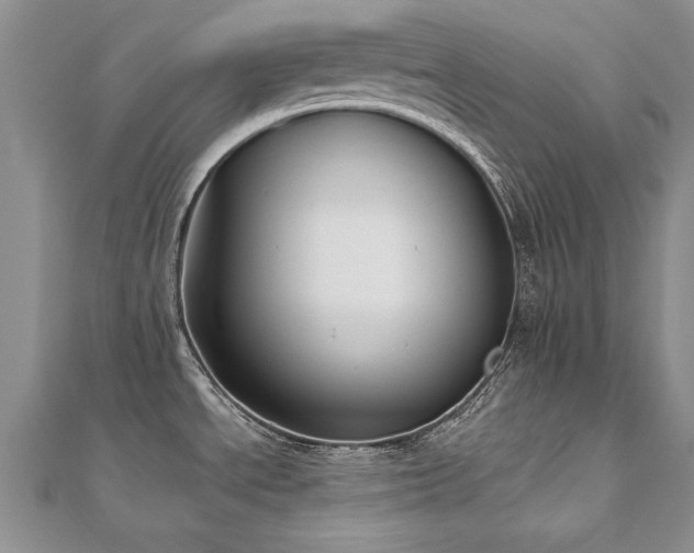 X0000112541534200908171432