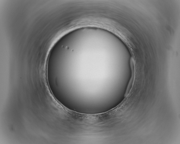 X0000112541536200908171432