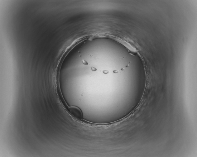X0000112540002200908241536