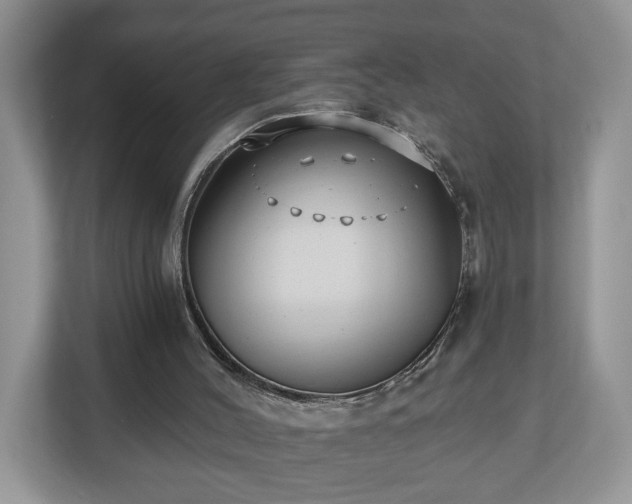 X0000112540004200908241536