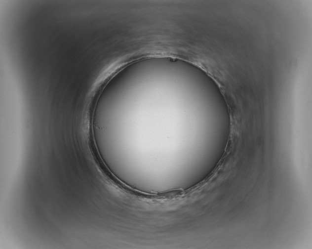 X0000112540005200908241536