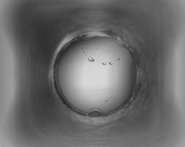 X0000112540006200908241536