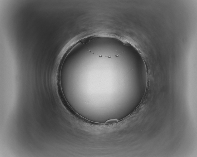 X0000112540007200908241536