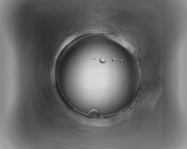 X0000112540008200908241536