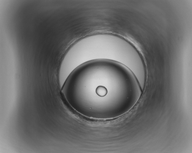 X0000112540009200908241536