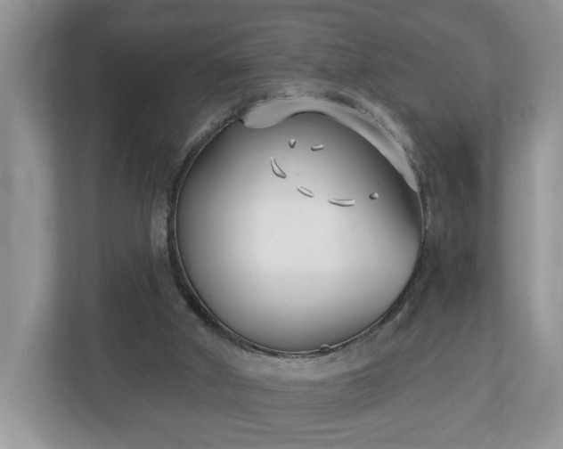 X0000112540010200908241536