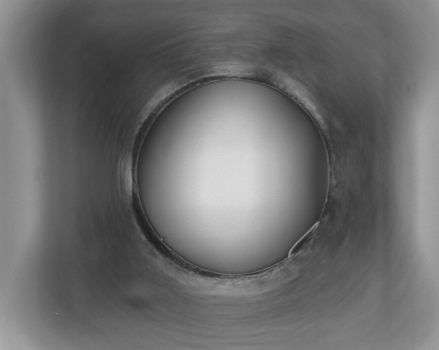 X0000112540011200908241536
