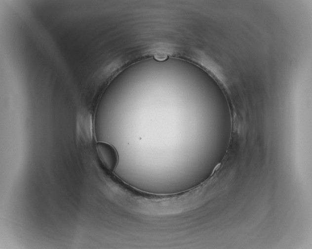X0000112540013200908241536