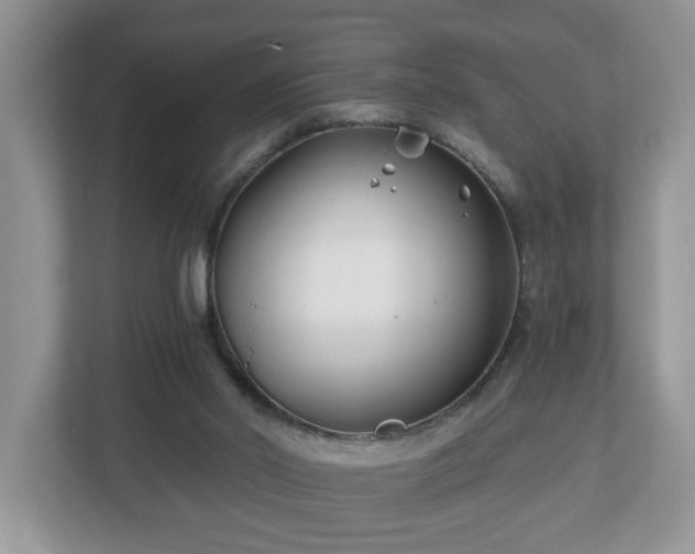 X0000112540014200908241536