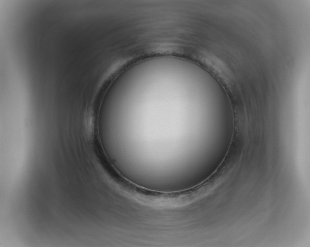X0000112540016200908241536